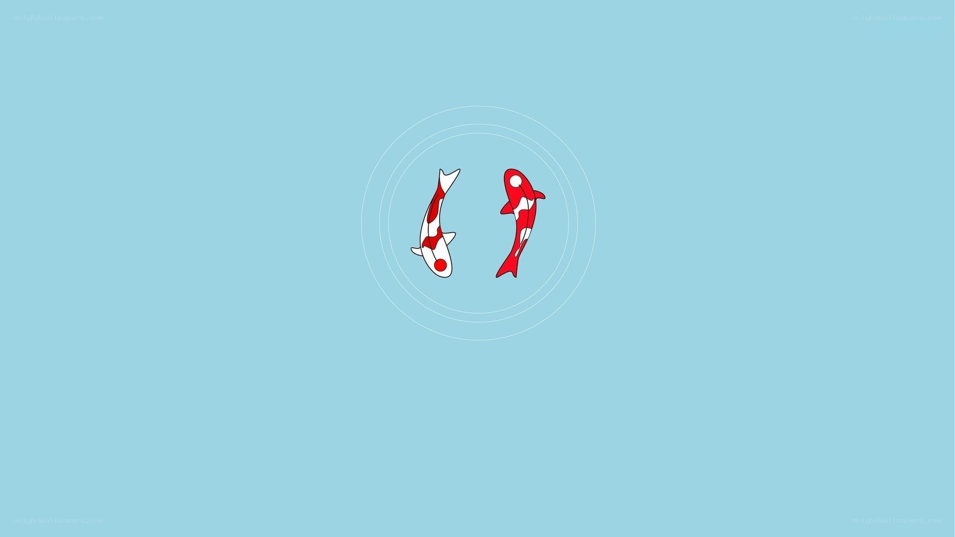 two koi fish in water