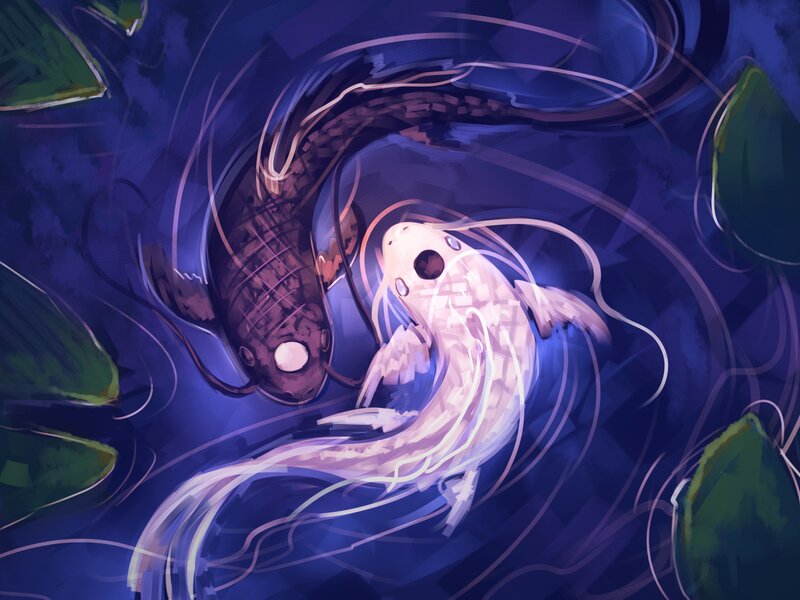 Two Koi Fish in Water — Blue