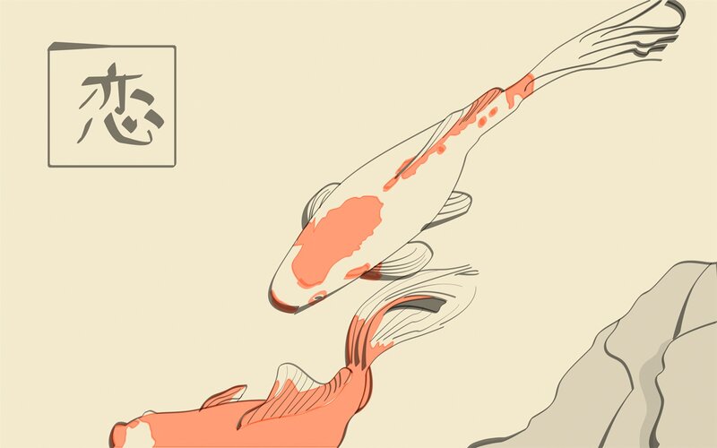 Two Koi Fish Swimming — White