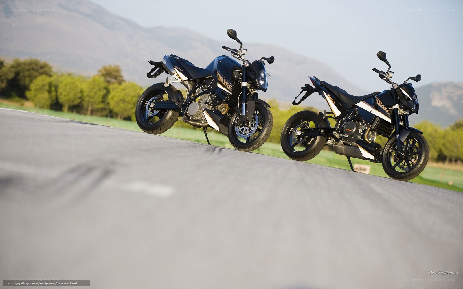 Two KTM motorcycles on a road