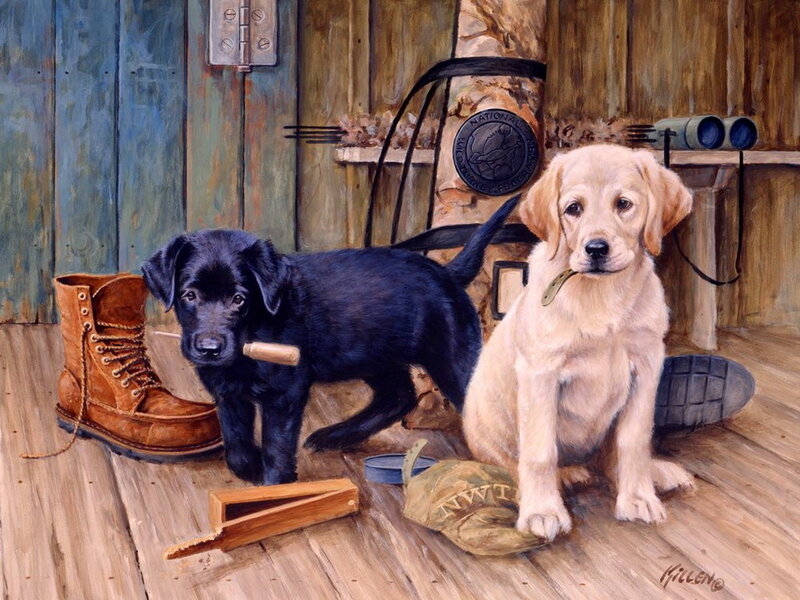 Two Labrador Puppies — Brown
