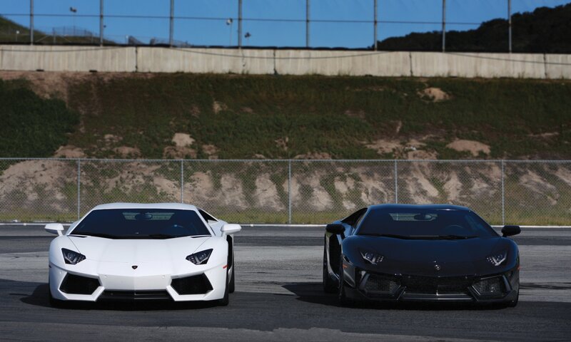 Two Lamborghini Aventadors on a track