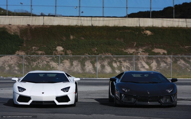 Two Lamborghini Aventadors on track