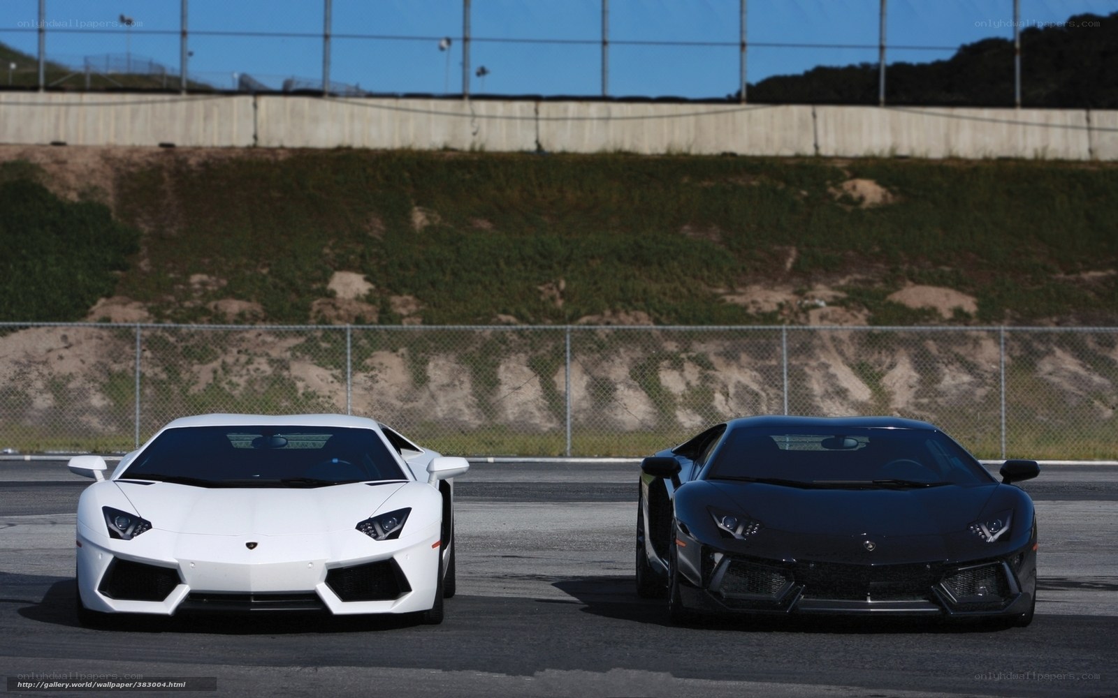 Two Lamborghini Aventadors on track