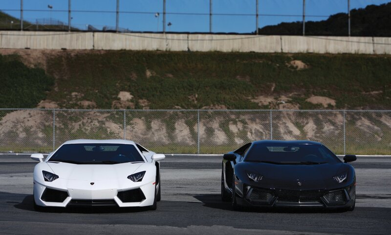 Two Lamborghini Cars — White, Calm