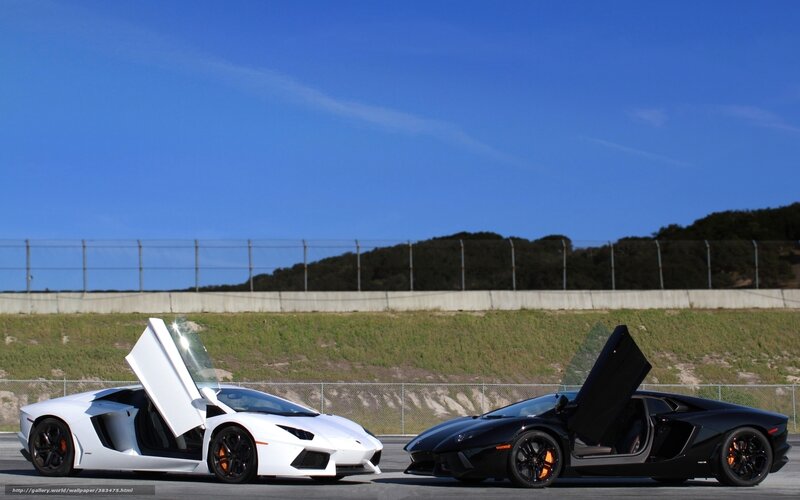 Two Lamborghini Cars — White, Dramatic