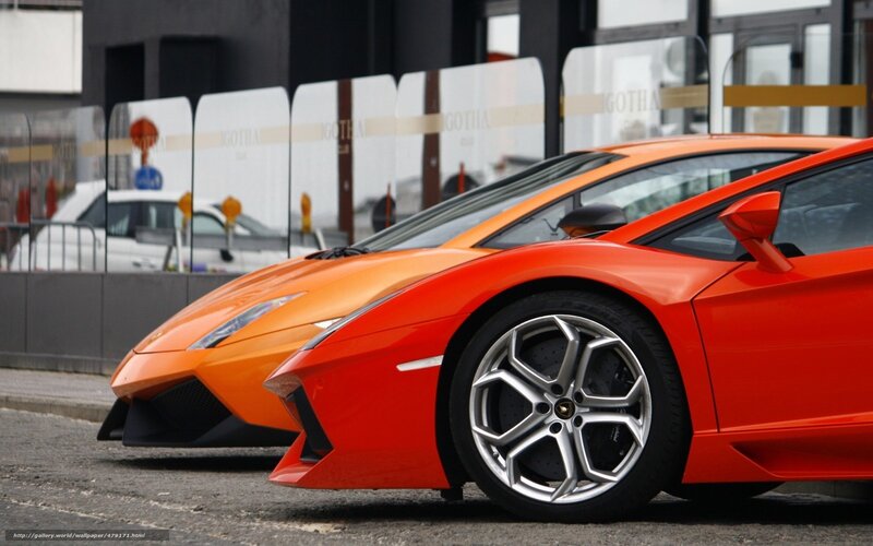 Two Lamborghini sports cars