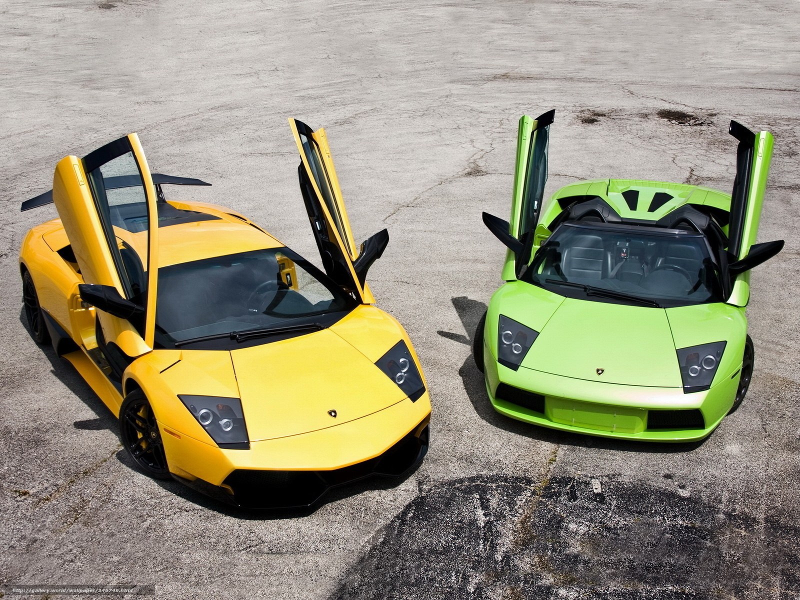 Two Lamborghini sports cars