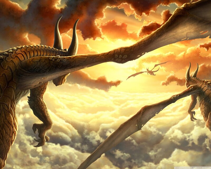 Two Large Dragons in Flight