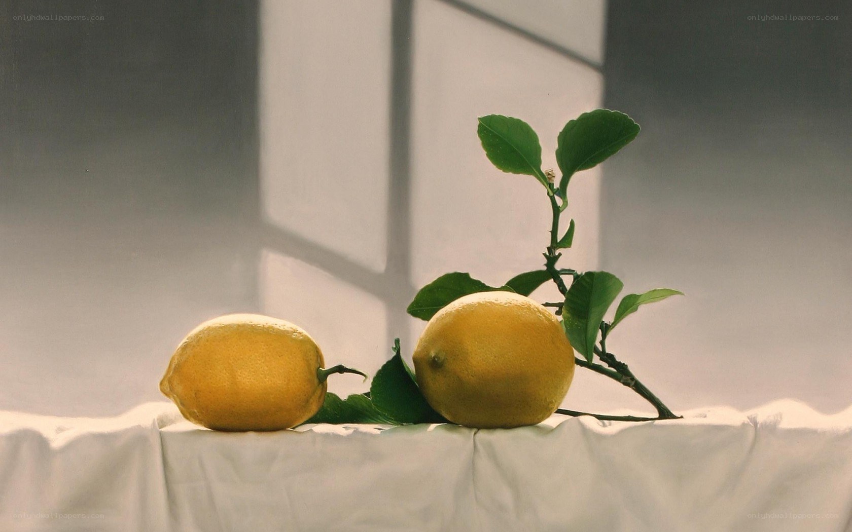 Two lemons with leaves