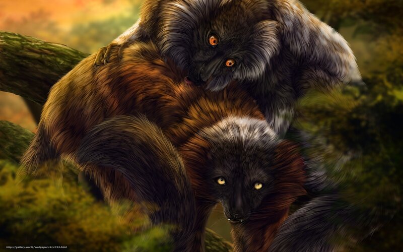 Two lemurs in forest