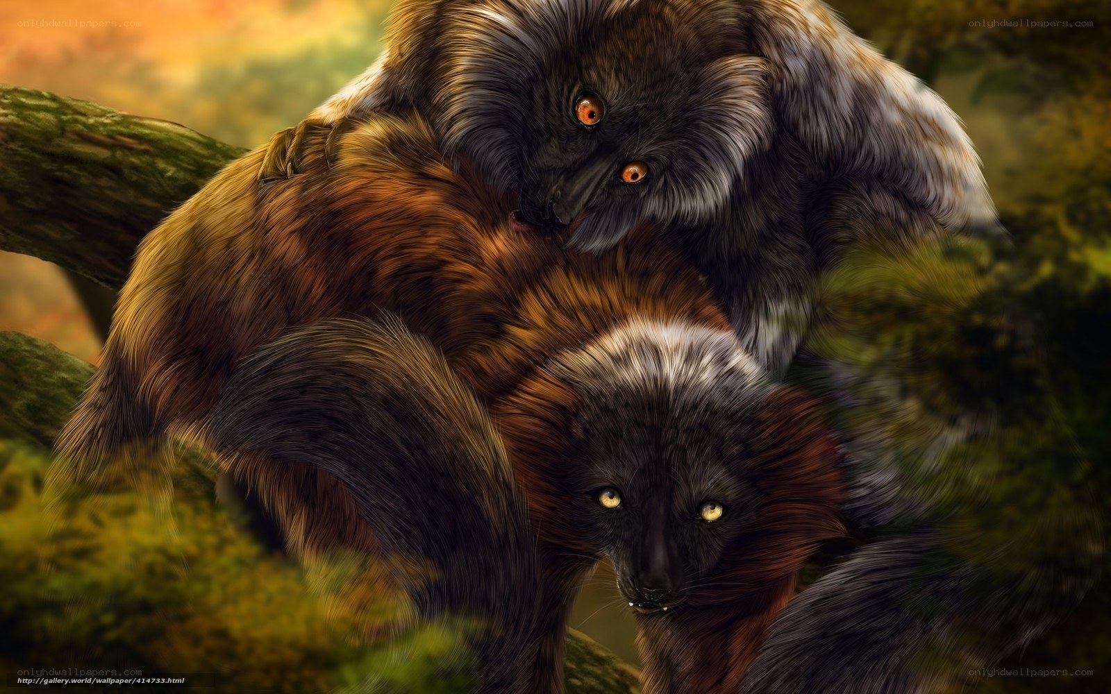 Two lemurs in forest