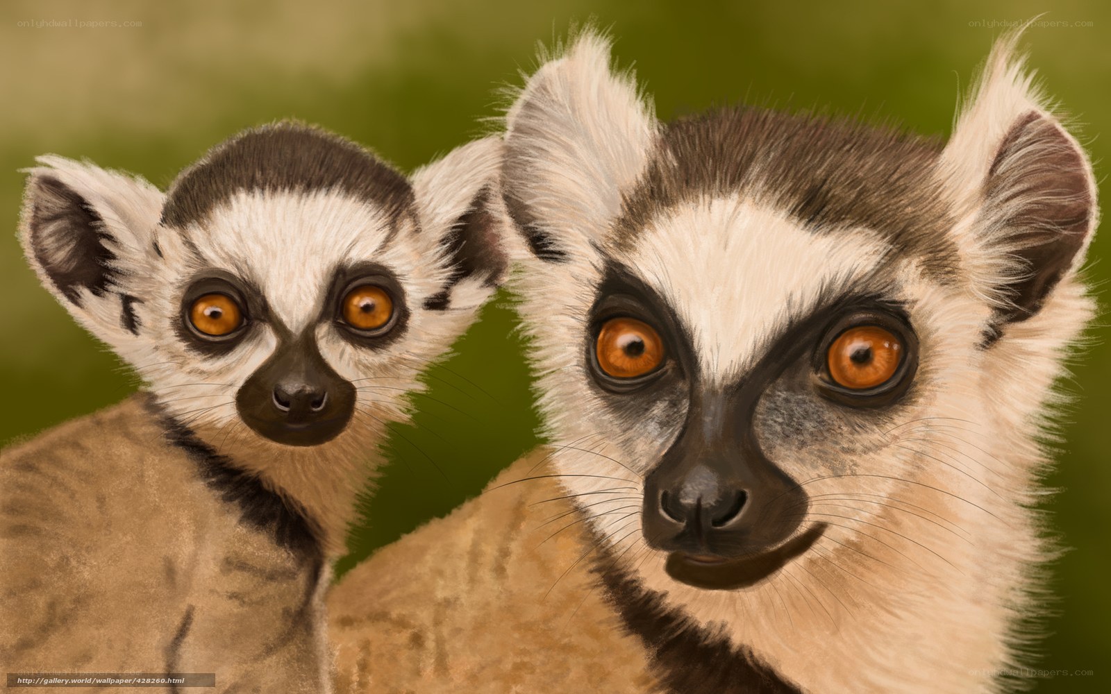 Two Lemurs Looking at Camera