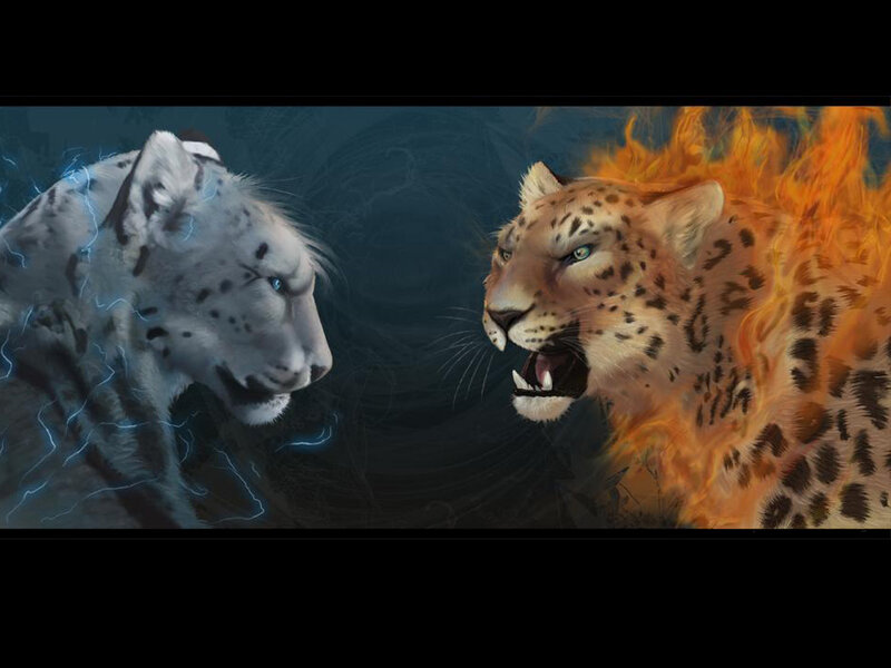 Two Leopards Facing Off