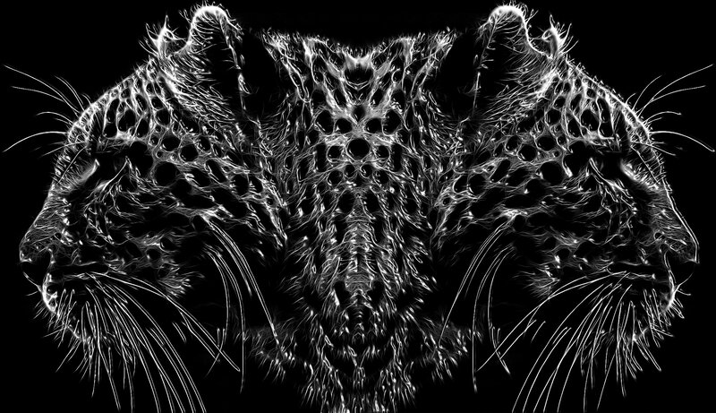 Two Leopards in Profile
