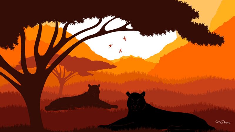 Two Leopards in Savanna