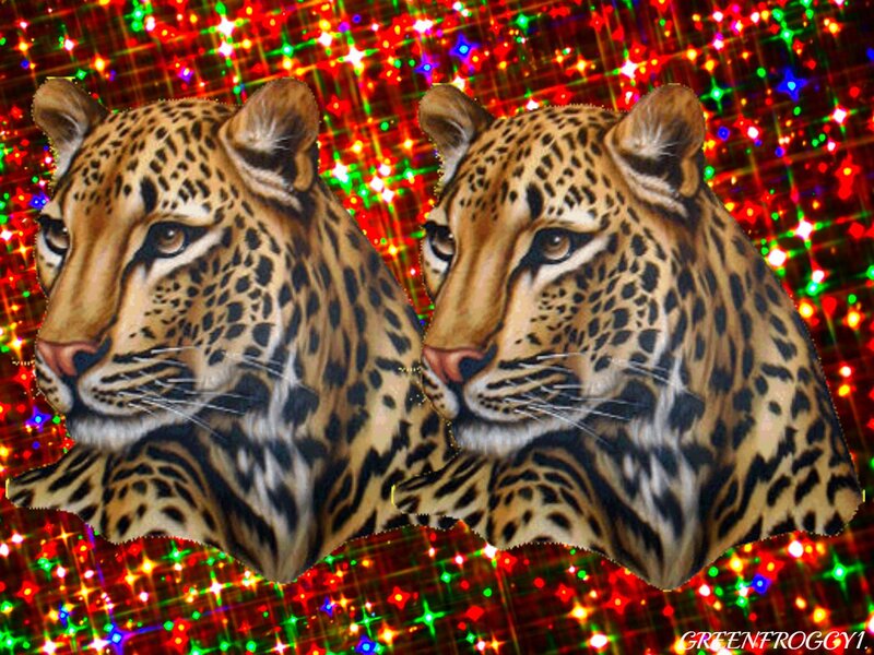 Two Leopards