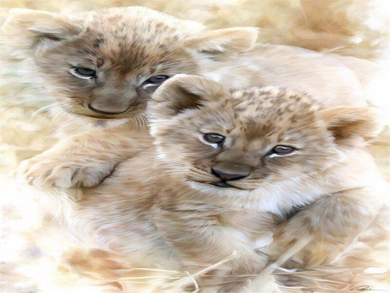 Two Lion Cubs — Beige