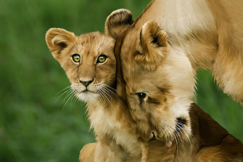 Two Lion Cubs — Brown, Calm, Photograph, Green Grass
