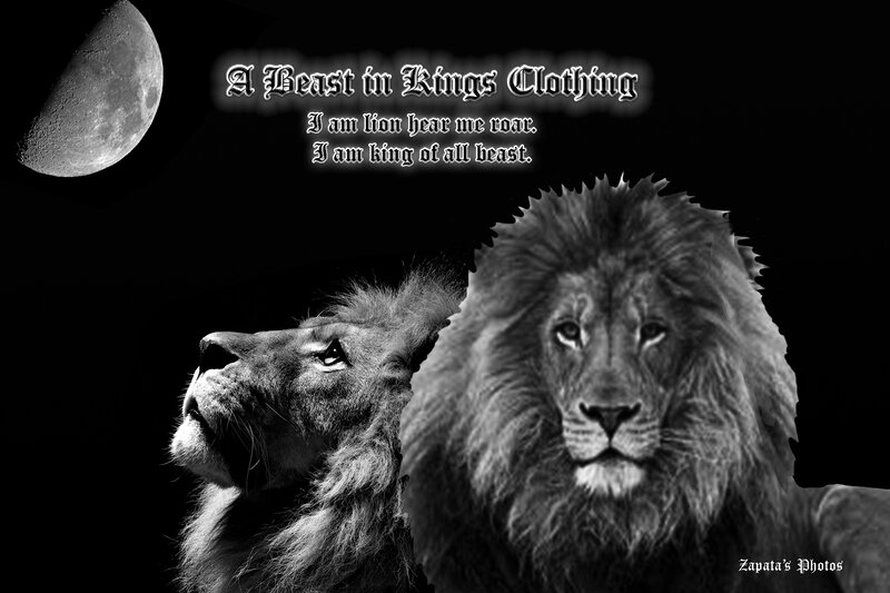 Two Lions at Night — Black