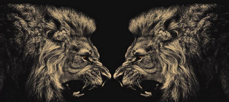 Two Lions Facing Each Other — Black
