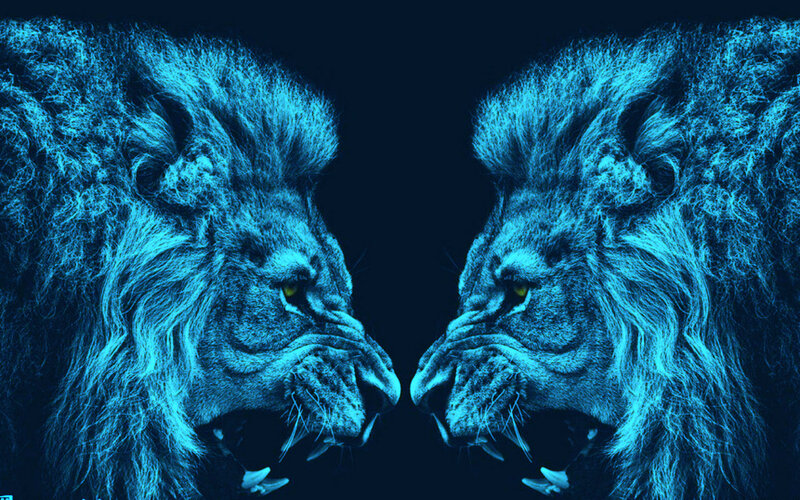 Two Lions Facing Each Other — Blue