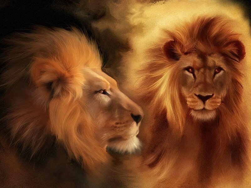 Two Lions Facing Each Other — Gold, Dramatic