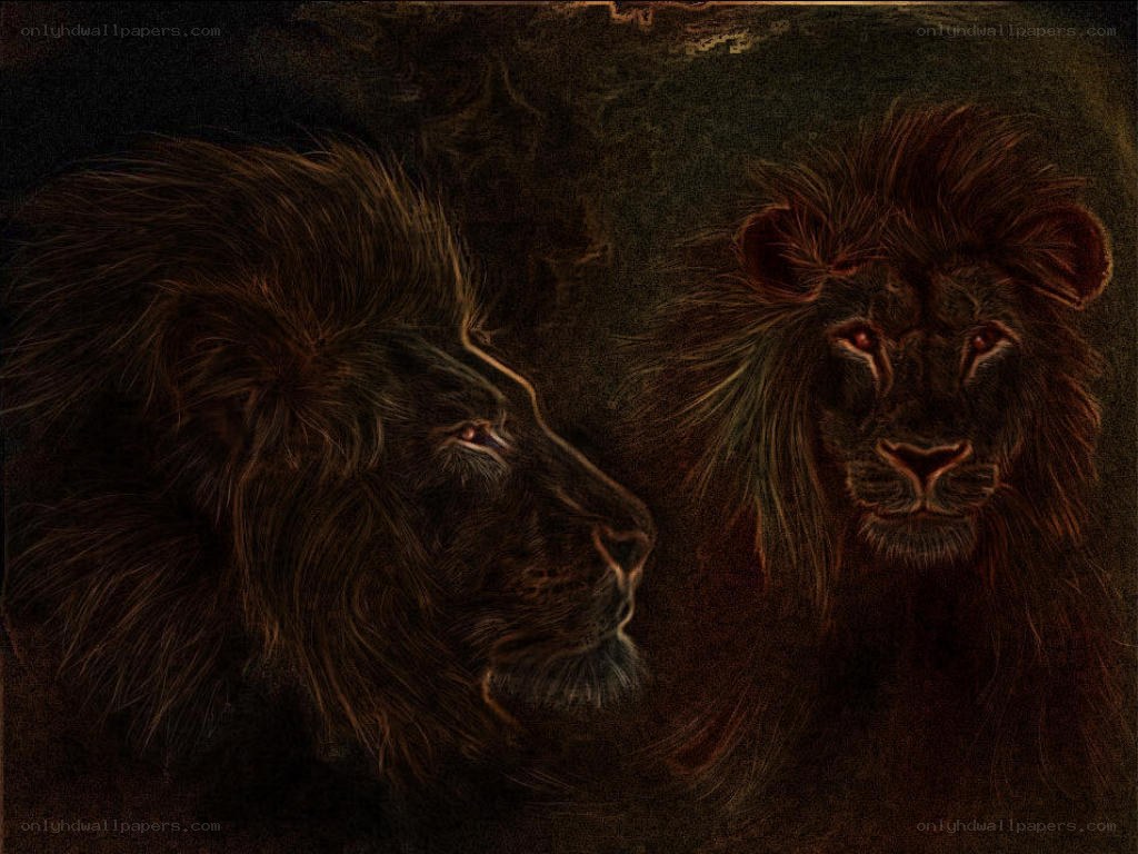 Two lions in dark tones