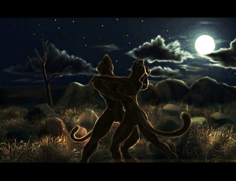Two Lions in Silhouette