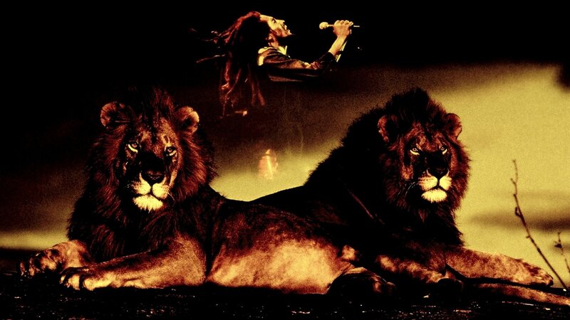Two Lions Lying Down — Brown, Dramatic
