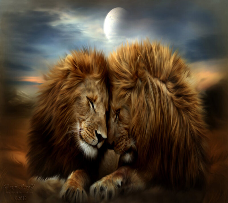 Two Lions Nuzzling — Brown, Serene