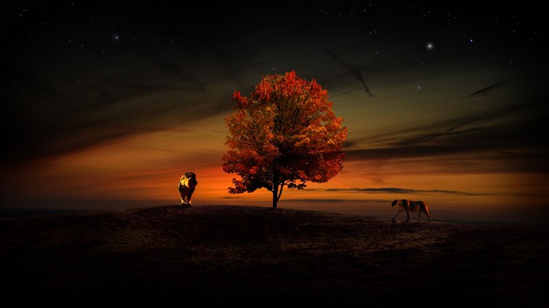 Two Lions on a Hill — Orange, Dramatic