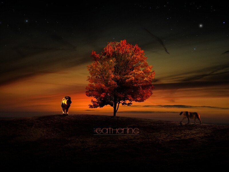 Two Lions on a Hill — Orange