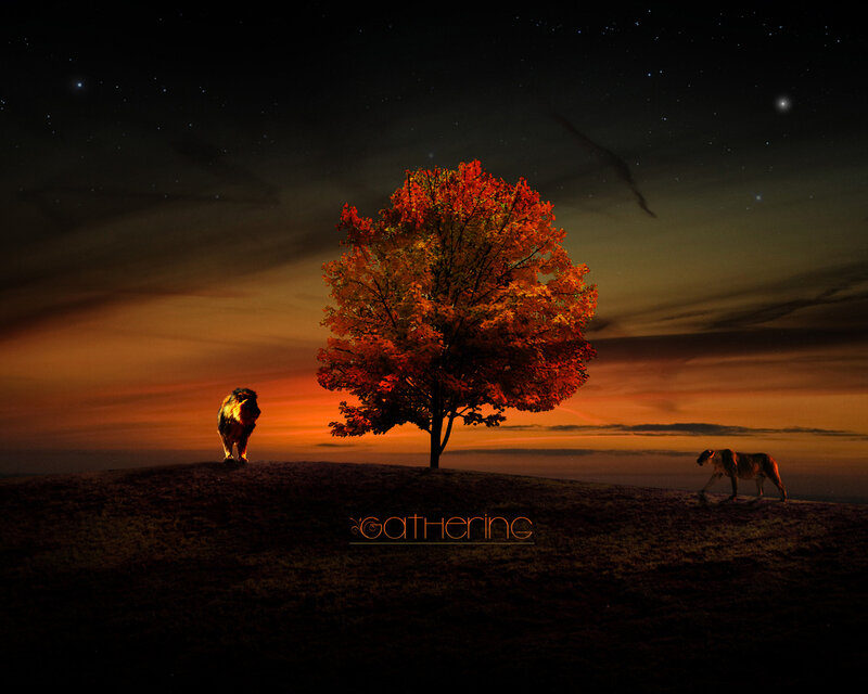 Two Lions on a Hill