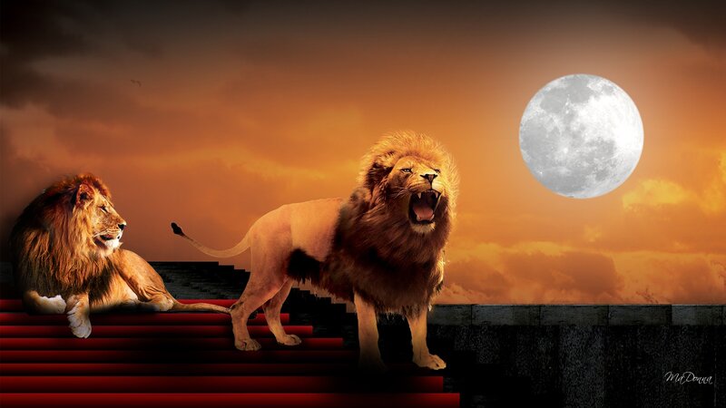 Two Lions on Steps