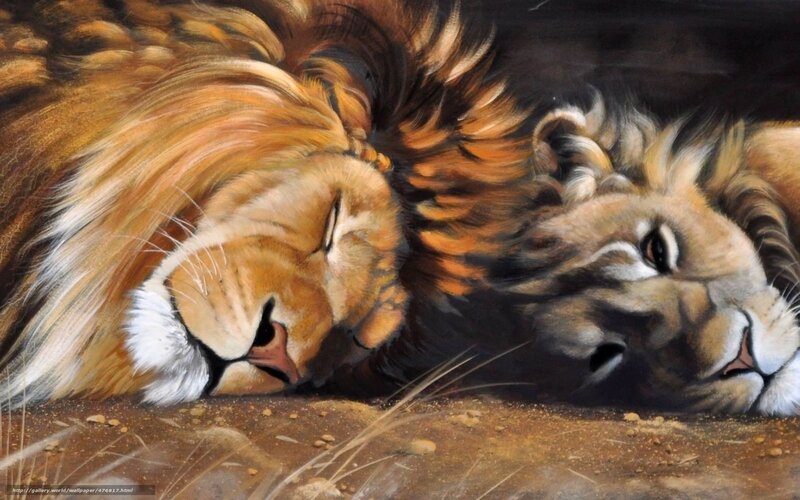 Two Lions Resting — Brown, Serene, Painting