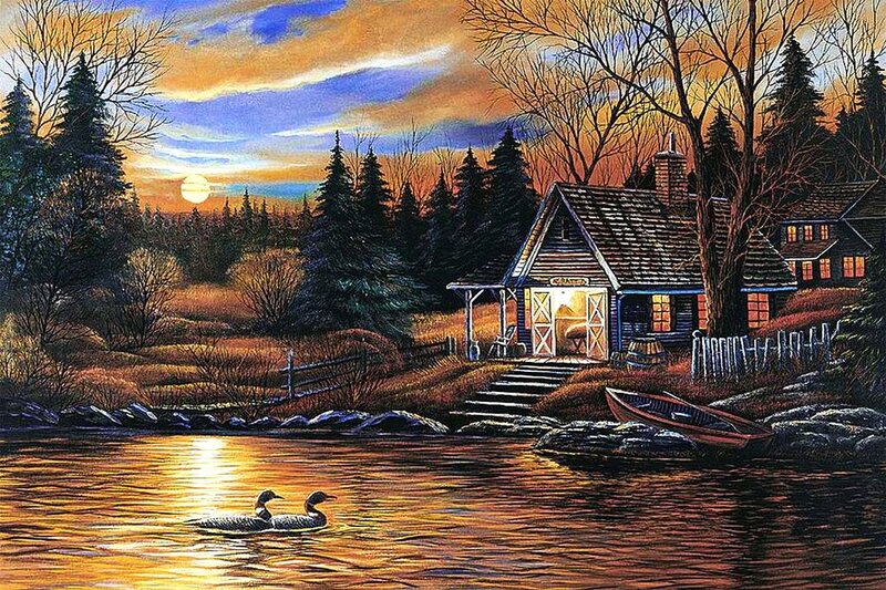 Two Loons on Lake