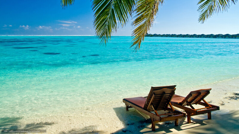 Two Lounge Chairs on Beach — Blue, Serene, Afternoon, Photograph, Palm Tree, Ocean