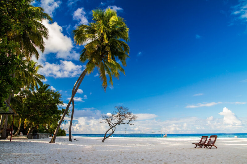 Two Lounge Chairs on Beach — Blue, Serene, Afternoon, Photograph, Palm Trees