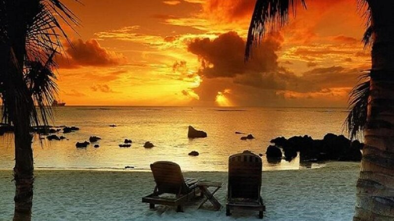 Two Lounge Chairs on Beach — Orange