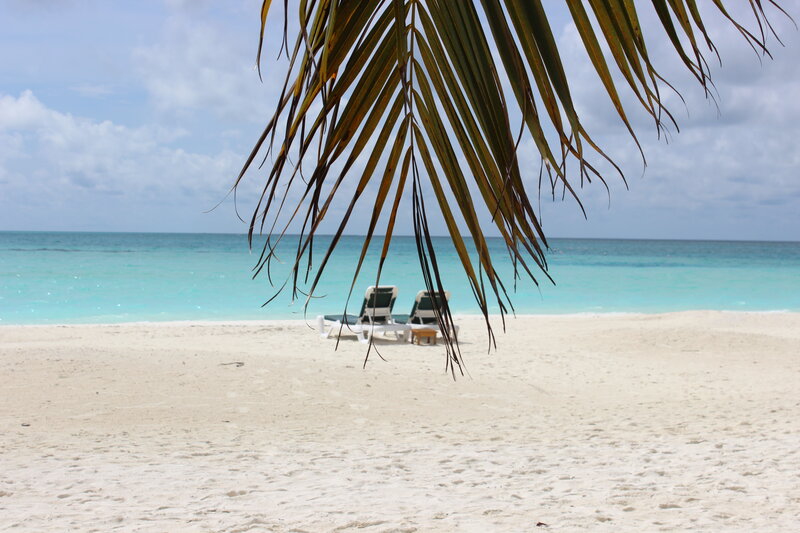 Two Lounge Chairs on Beach — White, Serene