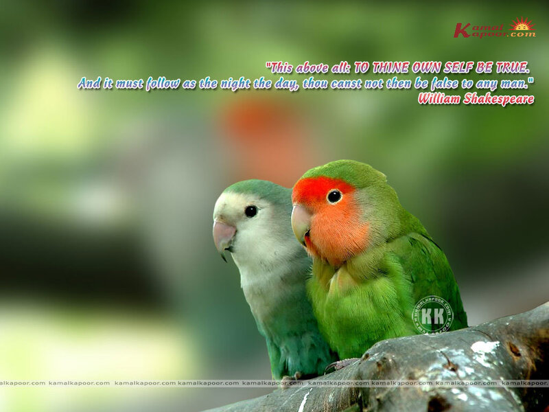 Two Lovebirds on Branch — Green