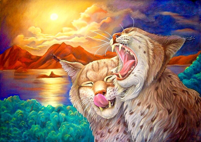 Two Lynx Cats — Orange