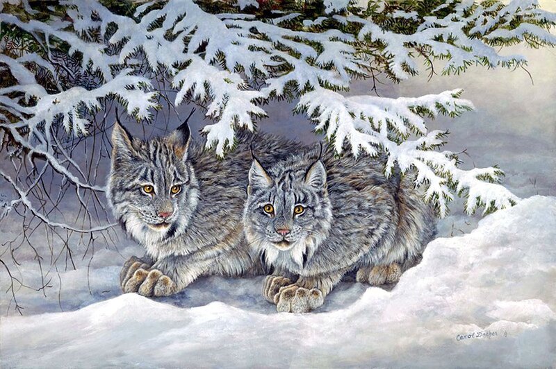 Two Lynx in Snow — White, Calm, Winter, Painting