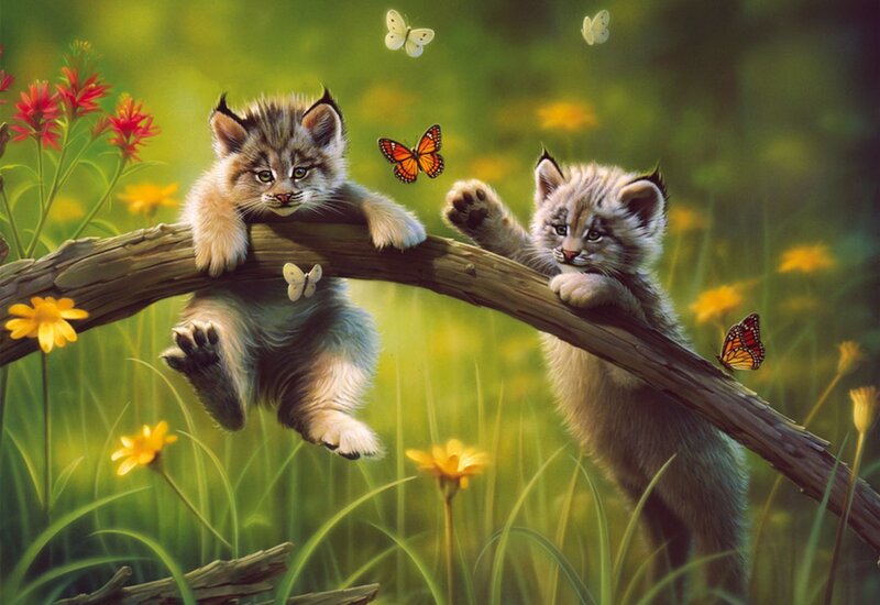 Two Lynx Kittens — Green