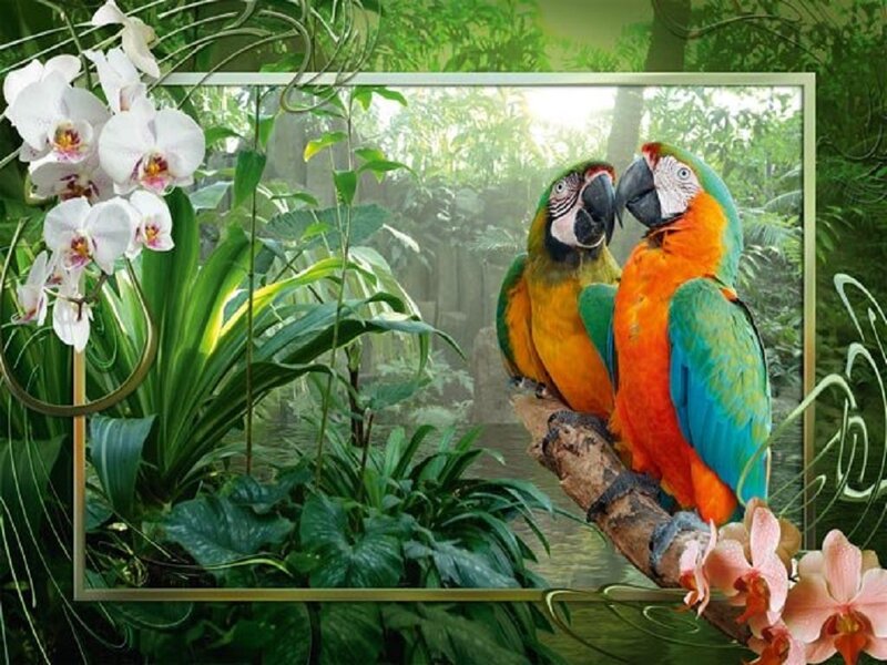 Two Macaws on Branch — Green