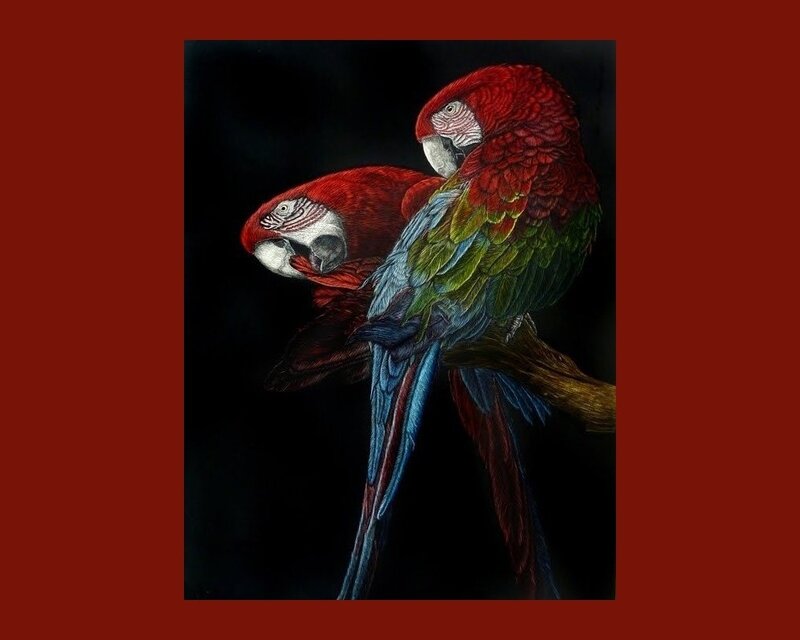 Two Macaws on Branch — Red