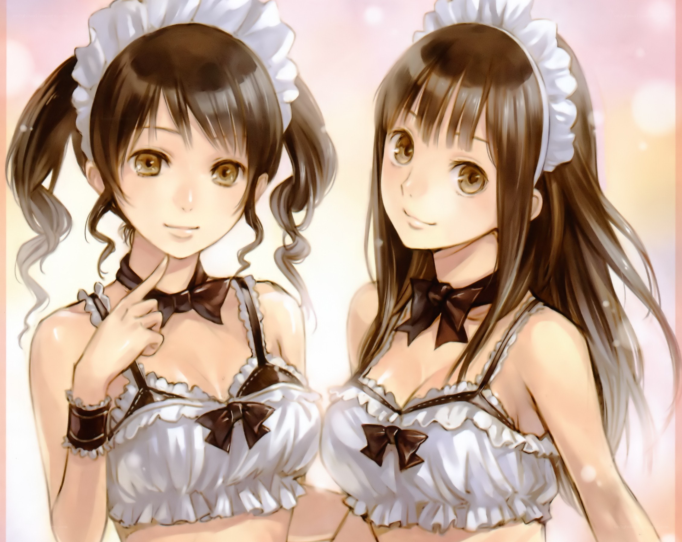 Two maid characters in uniforms