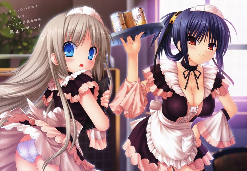 Two Maids in Uniforms