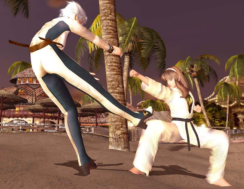 Two Martial Artists Fighting